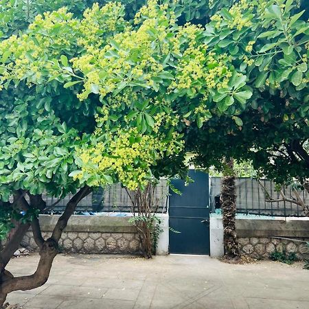 Maison 23 Coursan ภายนอก รูปภาพ