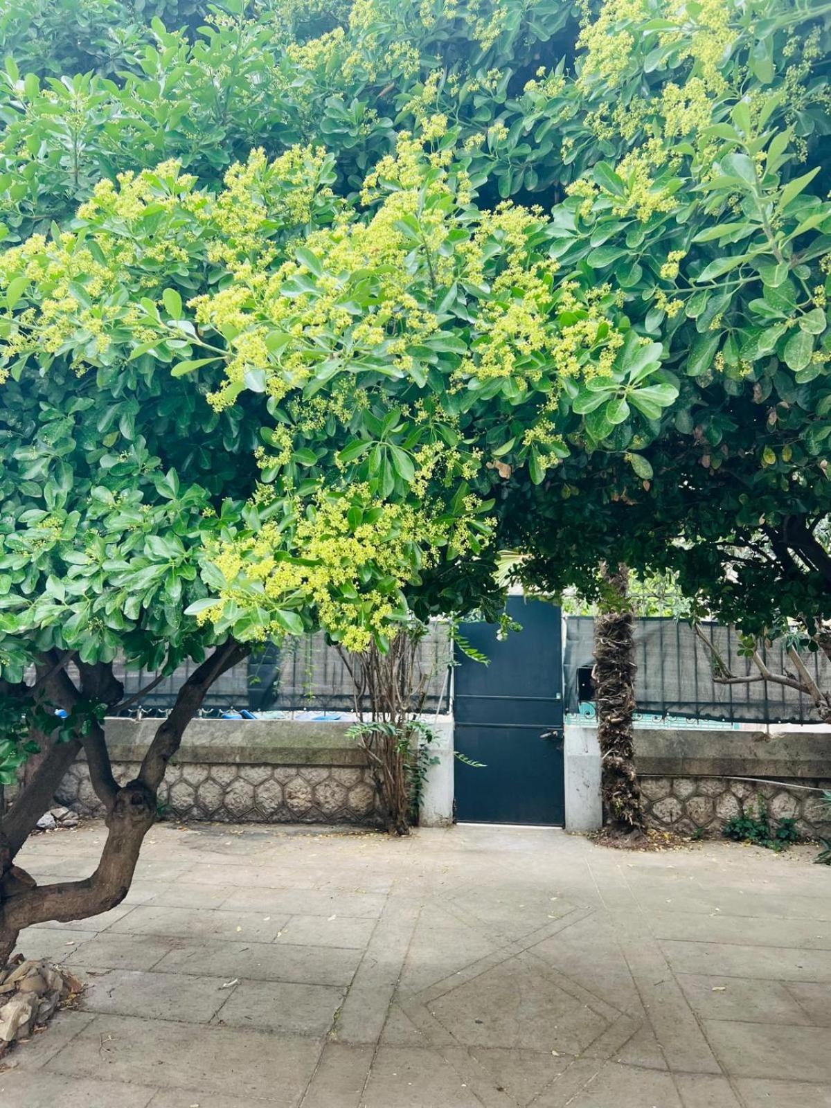 Maison 23 Coursan ภายนอก รูปภาพ